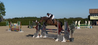 Vente de cheval : KUR KAN